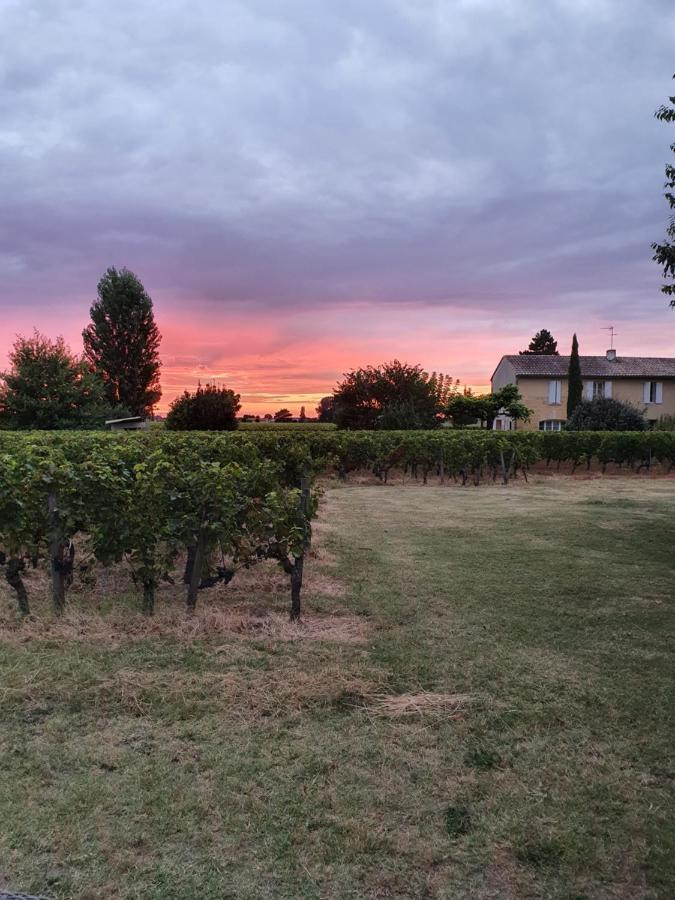 299 Bigaroux Hotel Saint-Émilion Eksteriør billede